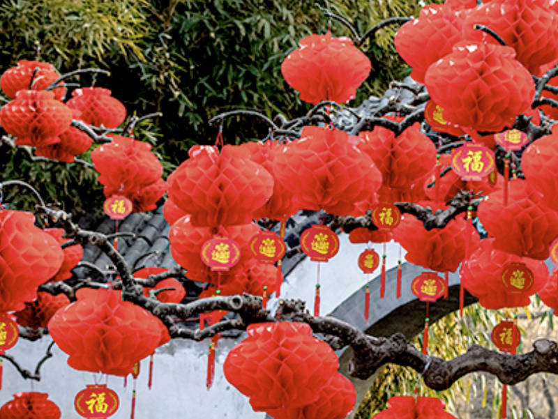 春节图片1